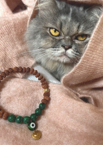 Pet collar "MOCHI" Malachite